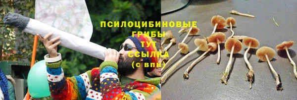кристаллы Михайловка