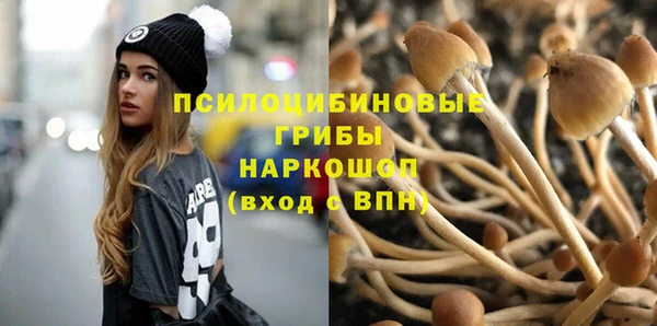 прущая мука Надым
