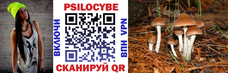Галлюциногенные грибы прущие грибы  Никольск 