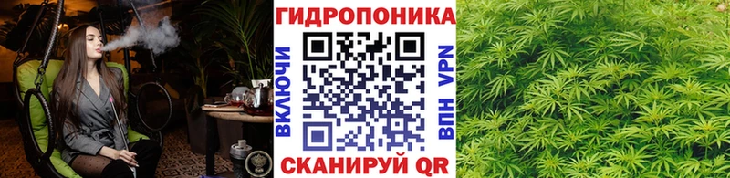 МАРИХУАНА план  darknet какой сайт  Никольск 